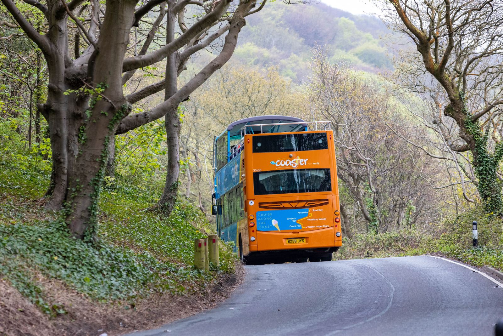 An open top bus on a road through woodland